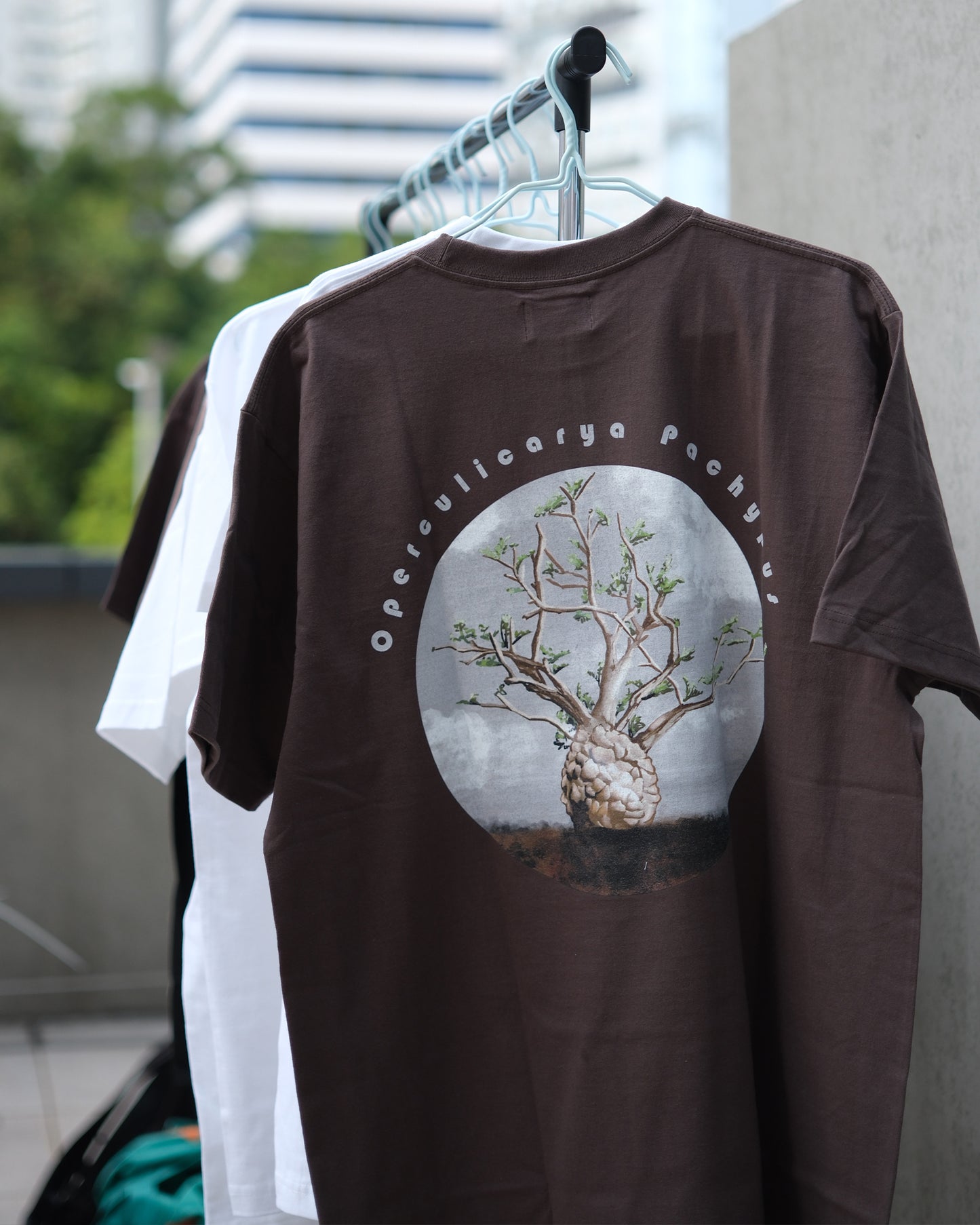 象足漆樹 Operculicarya Pachypus Oversize T-shirt