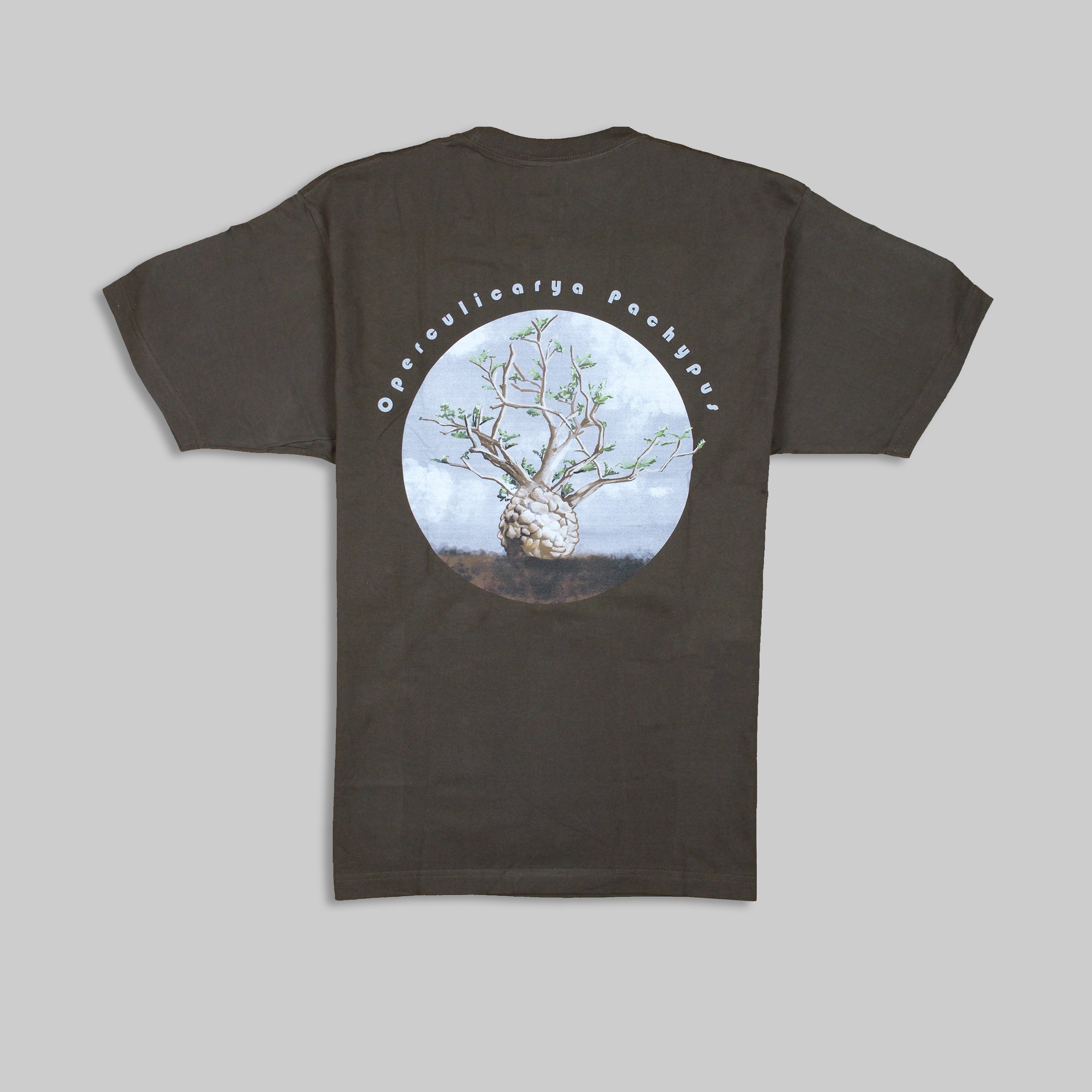 OPERCULICARYA PACHYPUS T-SHIRT [象足漆樹]