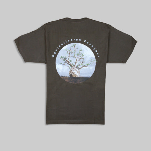 OPERCULICARYA PACHYPUS T-SHIRT [象足漆樹]