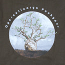 OPERCULICARYA PACHYPUS T-SHIRT [象足漆樹]