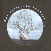 OPERCULICARYA PACHYPUS T-SHIRT [象足漆樹]