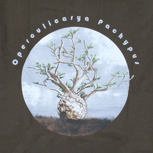 OPERCULICARYA PACHYPUS T-SHIRT [象足漆樹]