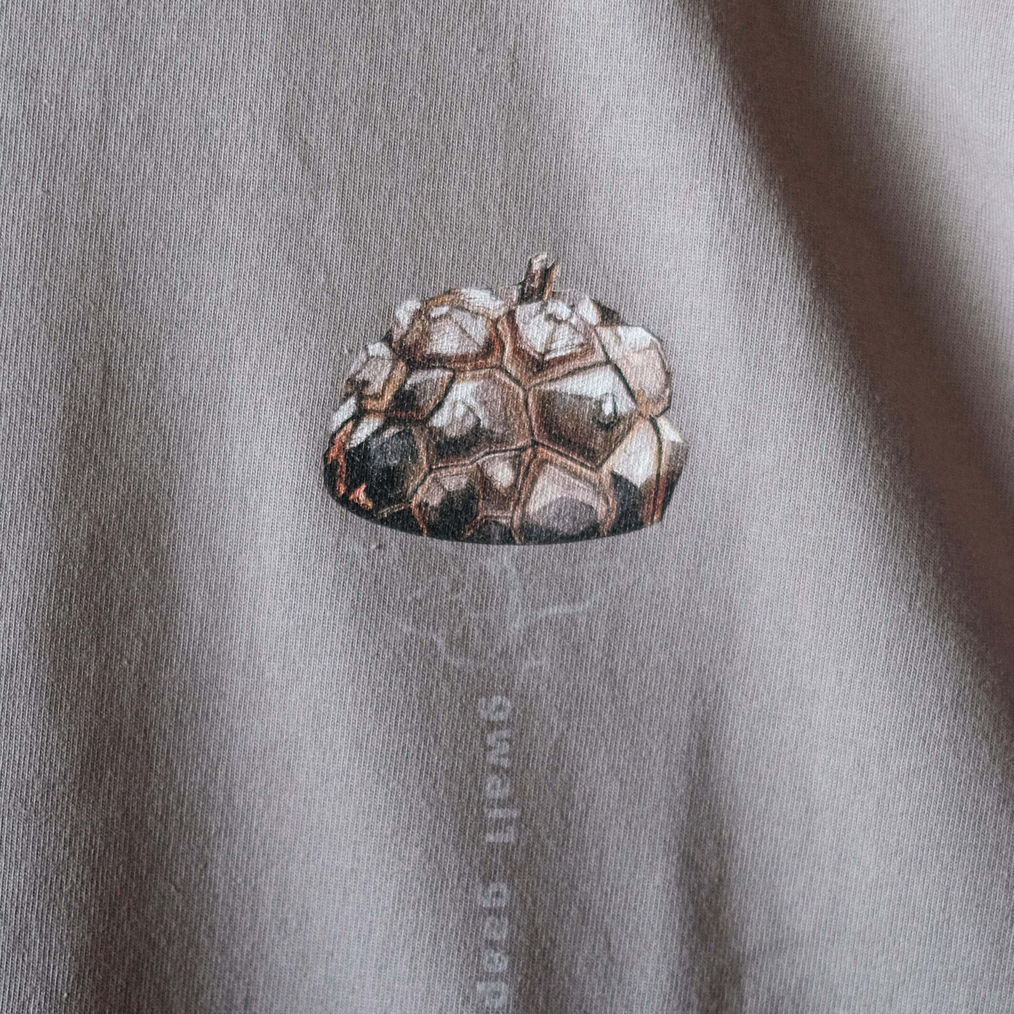 Dioscorea Elephantipes T-shirt [龜甲龍]