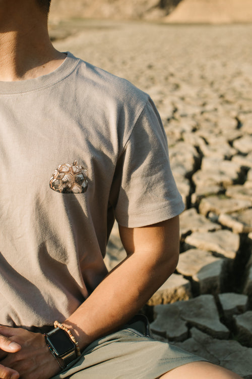 Dioscorea Elephantipes T-shirt [龜甲龍]